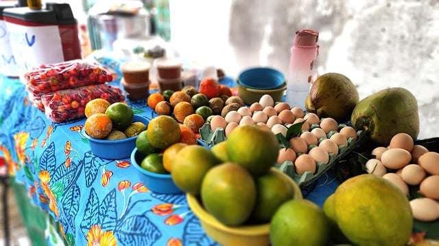 Feira-da-agricultura-familiar-sindicato-dos-trabalhadores-rurais6
