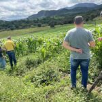 Fiscalizacao-combate-uso-irregular-de-agrotoxicos-com-drones-em-propriedades-rurais-de-Feira-de-Santana