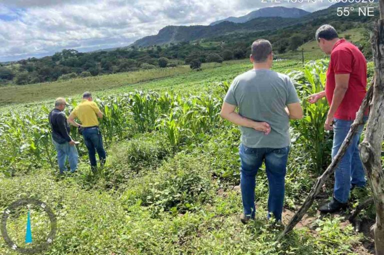 Fiscalizacao-combate-uso-irregular-de-agrotoxicos-com-drones-em-propriedades-rurais-de-Feira-de-Santana