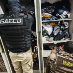 Gaeco-PM