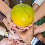 Laranja-gigante-de-Santo-Estevao-ft-Iasmim-Santos-do-Acorda-Cidade-1
