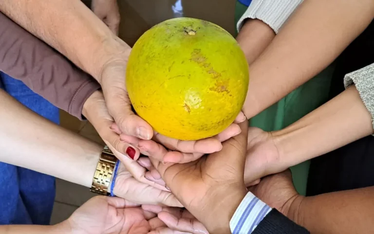 Laranja-gigante-de-Santo-Estevao-ft-Iasmim-Santos-do-Acorda-Cidade-1