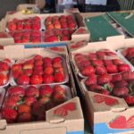 Morango-do-Amor-dispara-demanda-e-eleva-preco-da-fruta-no-Centro-de-Abastecimento-