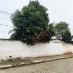 Rua-Tupirama-no-bairro-Parque-Ipe-moradores-pedem-poda-de-arvores-ed-santos-acorda-cidade1