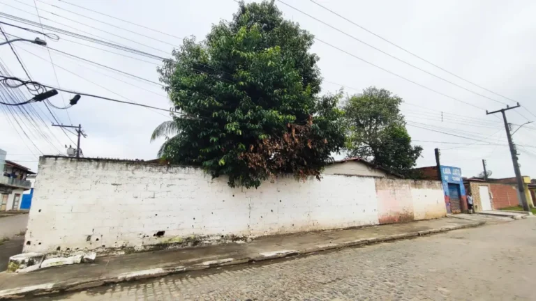 Rua-Tupirama-no-bairro-Parque-Ipe-moradores-pedem-poda-de-arvores-ed-santos-acorda-cidade1