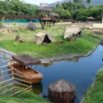 bioparque-beth-12