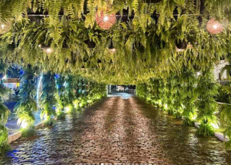 decoracao-cidade-jardim-festival-sao-goncalo-reproducao-festival