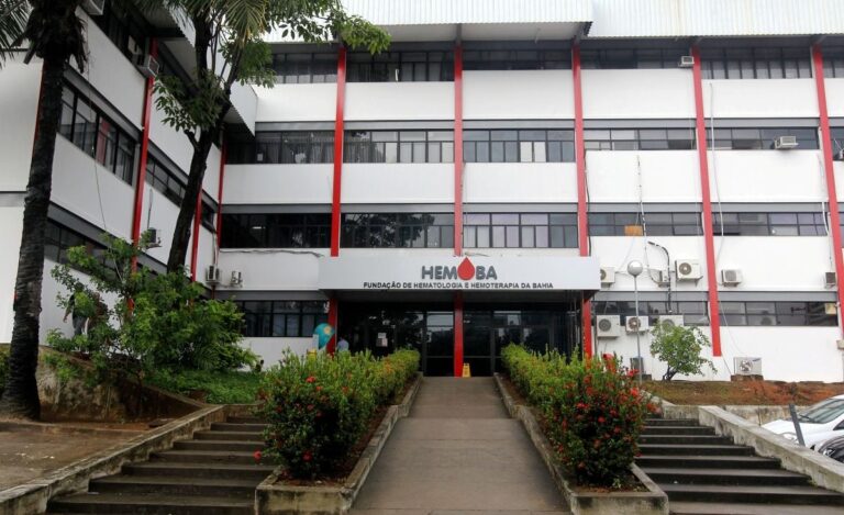 CamilaSouzaGOVBASEDE-2-Hemoba-