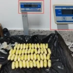 apreensao-de-cocaina
