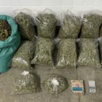 apreensao-de-maconha