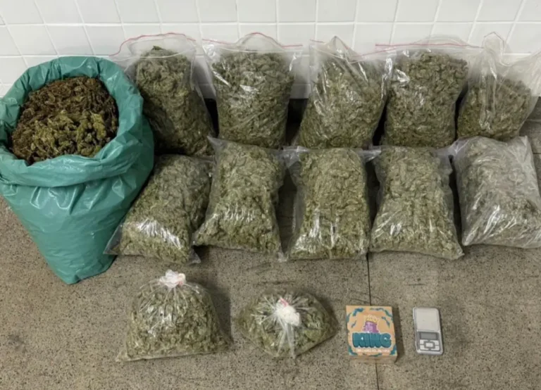 apreensao-de-maconha