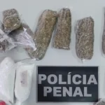 apreensao-de-maconha-pela-policia-penal-1-1