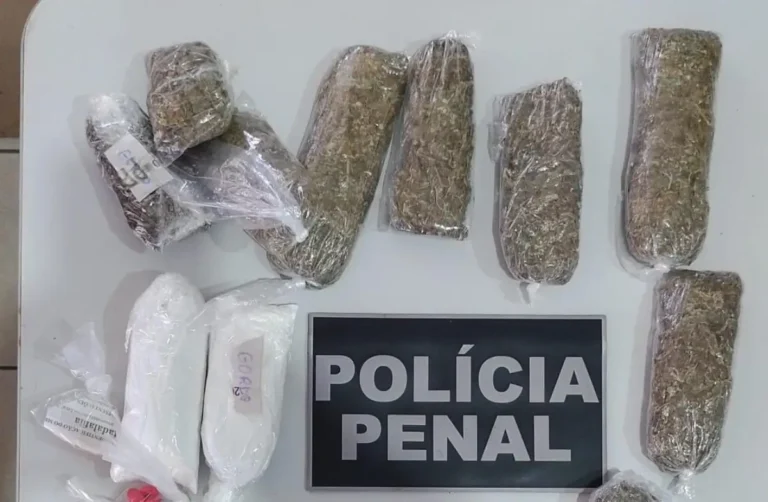 apreensao-de-maconha-pela-policia-penal-1-1