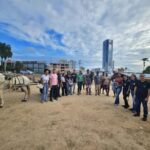 carrocas-carroceiros-foto-divulgacao-