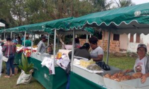 festa-do-agricultor-foto-divulgacao-2