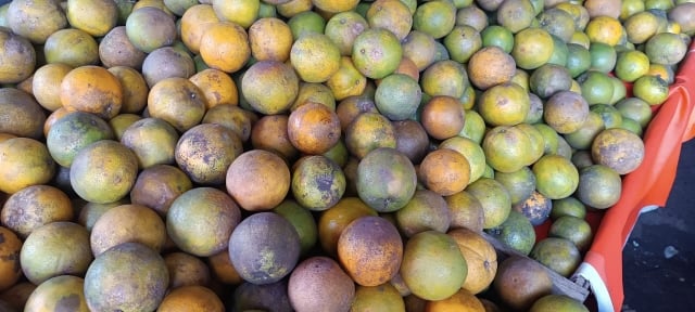 laranja-centro-de-abastecimento-ft-Paulo-Jose-acorda-cidade