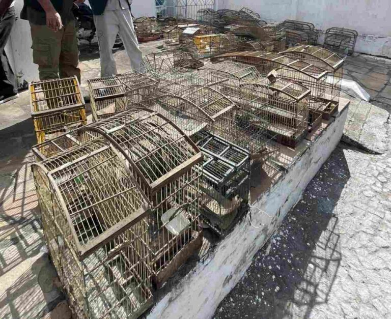 operacao-voo-livre-nova-fatima