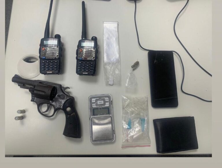 prisao-porte-arma-aviario-foto-65-cipm