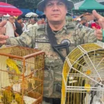 resgate-de-animais-silvestres