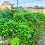 terreno-baldio-conceicao-travessa-barro-preto-foto-ed-santos-acorda-cidade-1