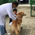 vacinacao-contra-raiva