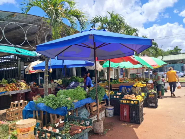 Feirantes-da-Cidade-Nova-ft-ney-silva-acorda-cidade-1