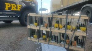 PRF-Milagres-030925