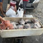 Pesquisa-da-Uesb-com-tilapias-Fotos-do-Acervo-da-Pesquisa-A