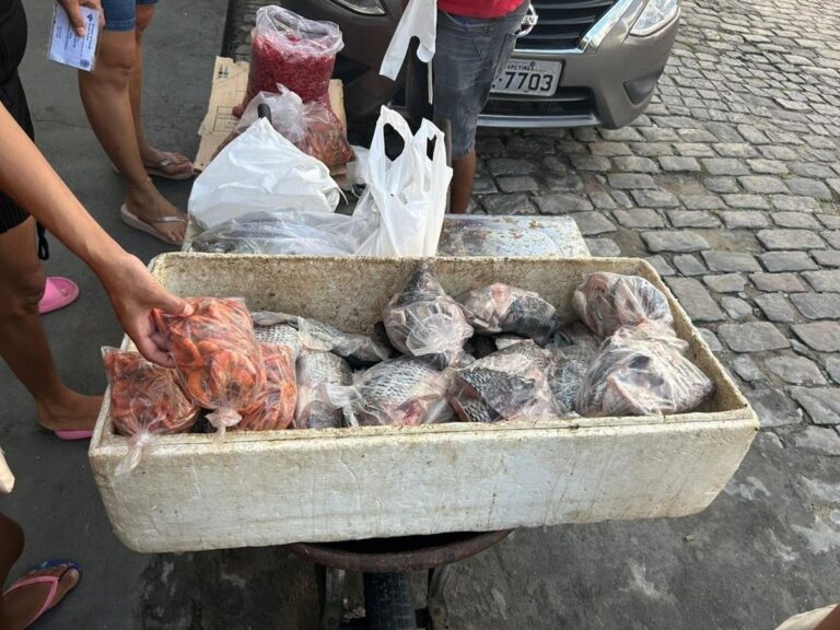 Pesquisa-da-Uesb-com-tilapias-Fotos-do-Acervo-da-Pesquisa-A