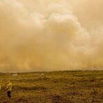 Seca-calor-baixa-umidade-queimadas-incendios-foto-Joedson-Alves-abr