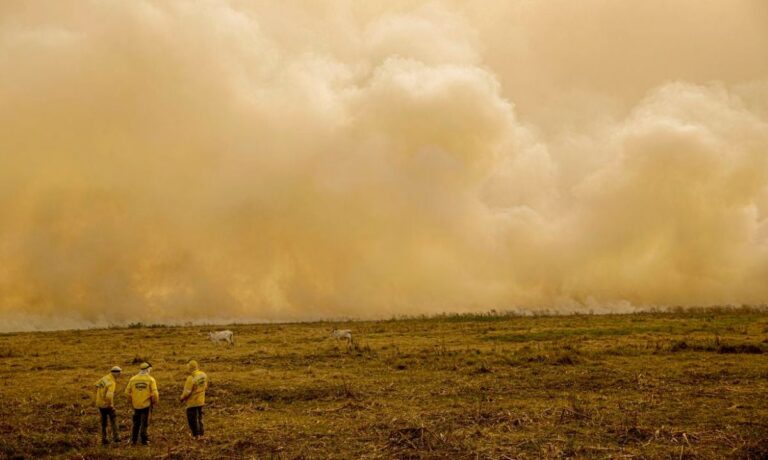 Seca-calor-baixa-umidade-queimadas-incendios-foto-Joedson-Alves-abr
