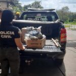 Trinta-e-um-quilos-de-drogas-sao-incinerados-1-190925