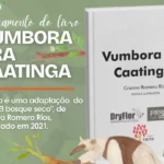 Vumbora-pra-caatinga