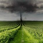 agrotoxico-040925