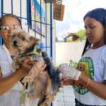 campanhavacinacaoraiva_edsantos_acordacidade-3