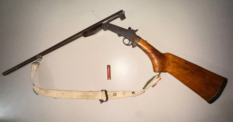 espingarda-arma-de-fogo-foto-reproducao-