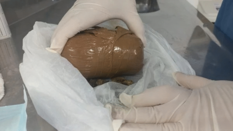 gravida-drogas-parte-intimas-presidio-feira-de-santana-foto-reproducao-seap-