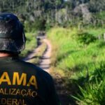 ibama_foto_divulgacao