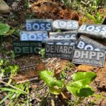 policia-civil-drogas-enterradas-madre-de-deus