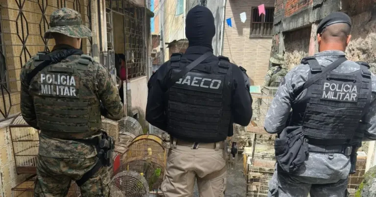 traficante-de-animais-silvestres-e-preso-em-Salvador