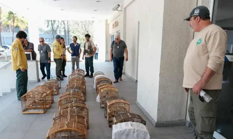 trafico_de_animais_silvestre03