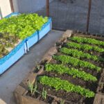 La-no-quintal-tem-o-sitio-do-tio-Eduardo-foto-divulgacao-01