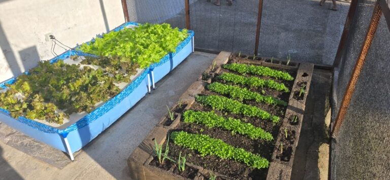 La-no-quintal-tem-o-sitio-do-tio-Eduardo-foto-divulgacao-01