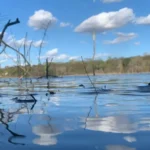 Lagoas-de-Feira-de-Santana