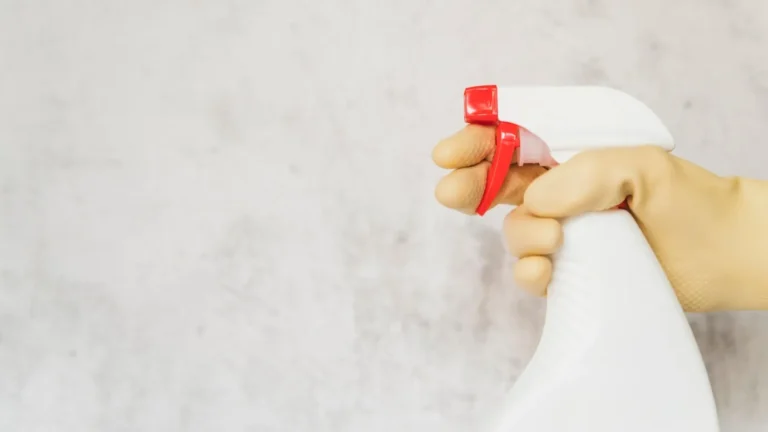 OExU7Zco-Como-tirar-mofo-de-paredes-usando-apenas-agua-sanitaria-e-acucar-2