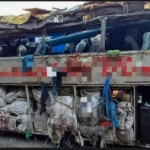 acidente-em-Pernambuco