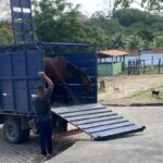 animais-de-grande-porte-foto-divulgacao-centro-de-zoonoses