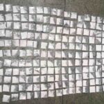 apreensao-cocaina-humildes-feira-de-santana-foto-policia-militar