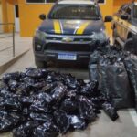 apreensao-de-maconha-foto-prf-1