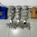 apreensao-em-Itacare